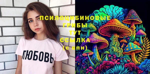 молекула духа Нефтекумск