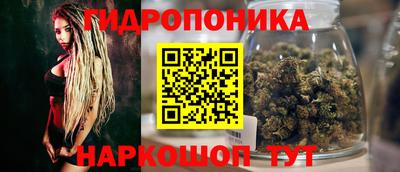 гашик Ливны