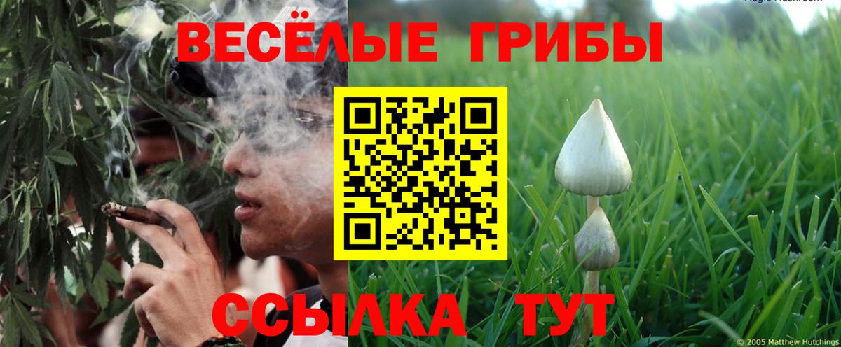 Галлюциногенные грибы MAGIC MUSHROOMS  купить наркотик  Среднеуральск  Галлюциногенные грибы Psilocybine cubensis  Вход с VPN 